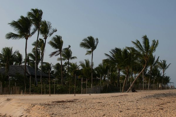 Comment planifier une croisière pour explorer les îles Lofoten, Norvège : itinéraires et conseils pratiques ?